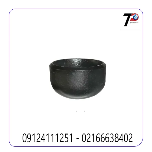 کپ مانیسمان ایران اتصال
